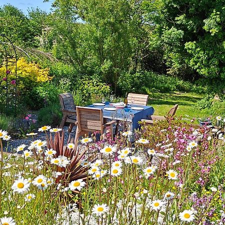 Darracott Farm Cottage Welcombe Dış mekan fotoğraf